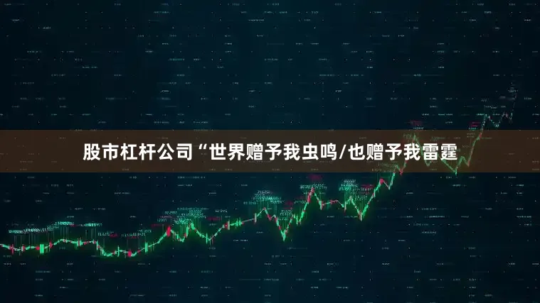 股市杠杆公司“世界赠予我虫鸣/也赠予我雷霆