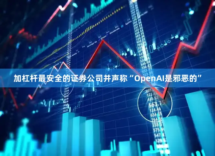 加杠杆最安全的证券公司并声称“OpenAI是邪恶的”