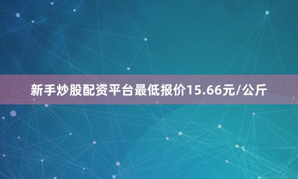 新手炒股配资平台最低报价15.66元/公斤