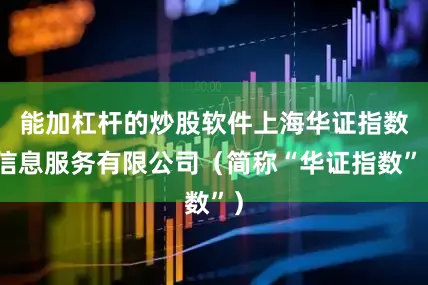 能加杠杆的炒股软件上海华证指数信息服务有限公司（简称“华证指数”）