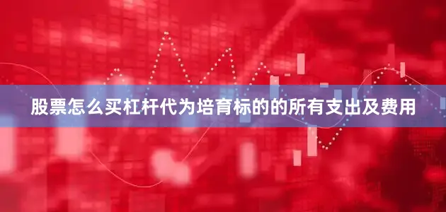 股票怎么买杠杆代为培育标的的所有支出及费用